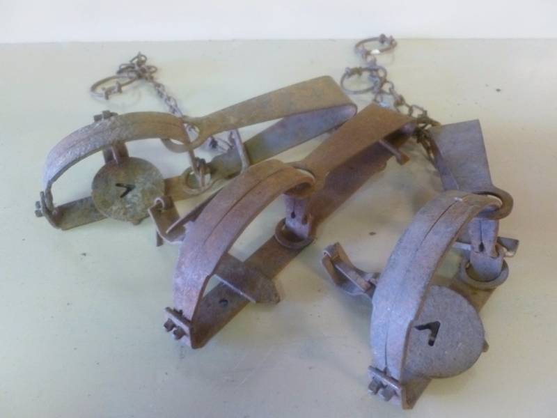 Vintage Traps