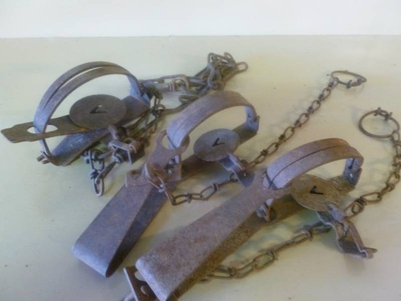 Vintage Traps