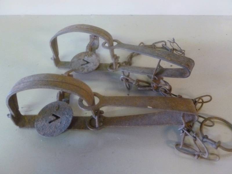 Vintage Traps