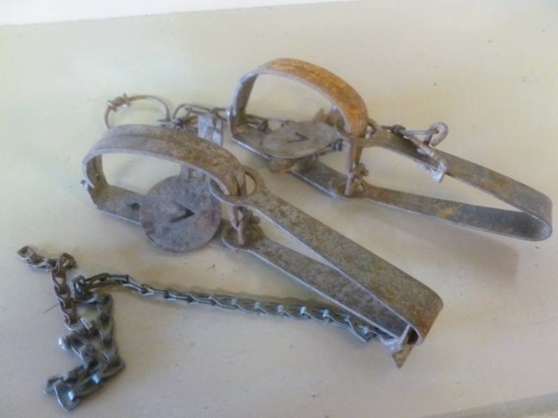 Vintage Traps