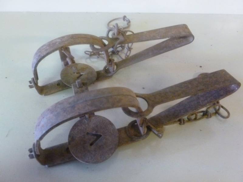 Vintage Traps