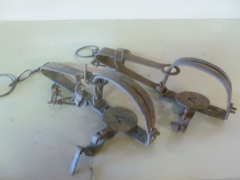 Vintage Traps