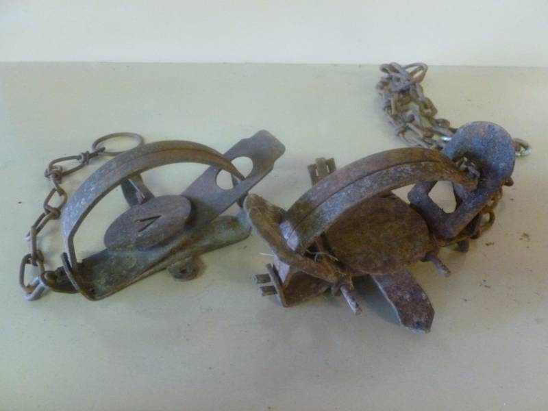 Vintage Traps
