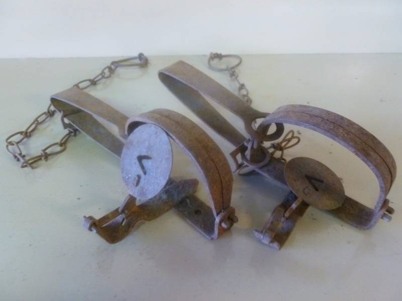 Vintage Traps