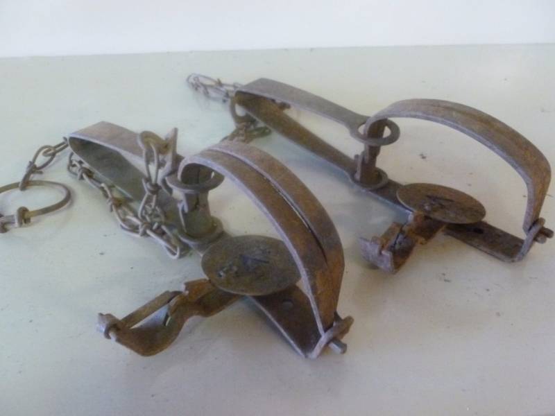 Vintage Traps