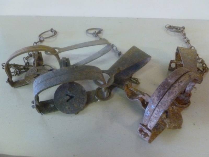 Vintage Traps