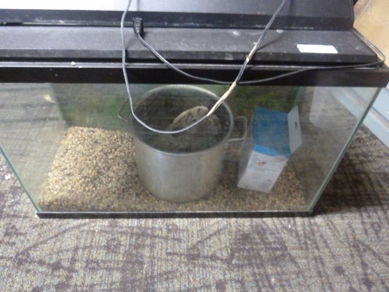 lot 114 image: Aquarium