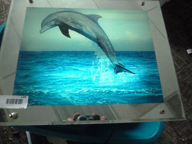 lot 116 image: Lighted Dolphin Picture