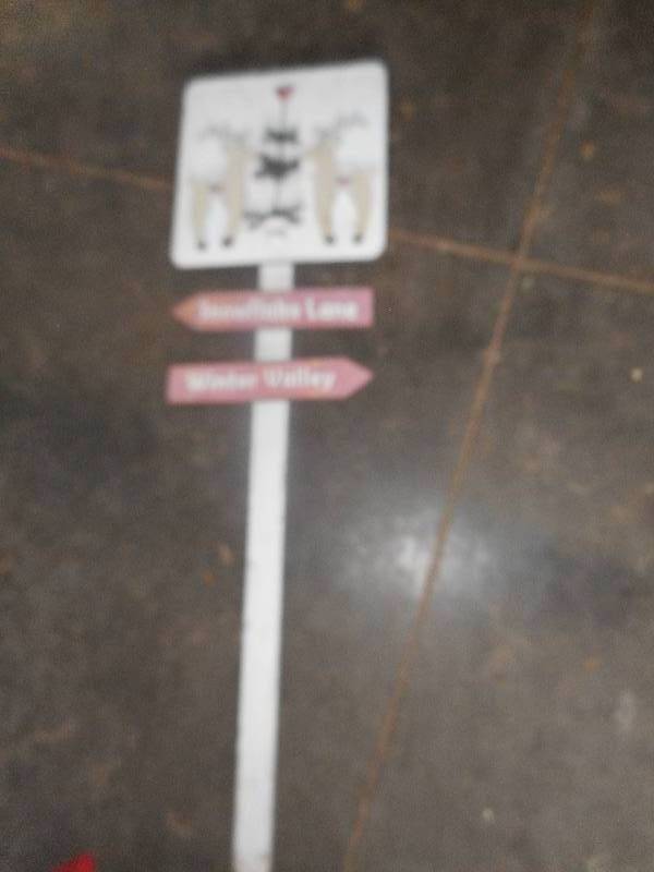 SNOW FLAKE LANE SIGN