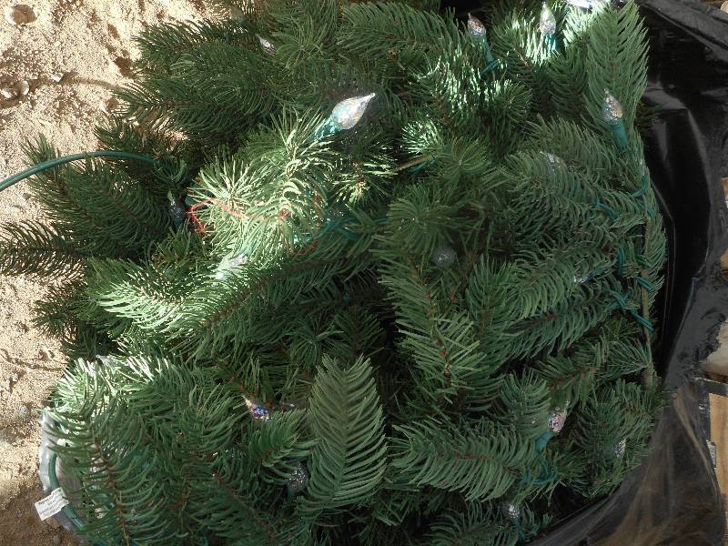7 FOOT CHRISTMAS TREE WITH LED LIGHTS