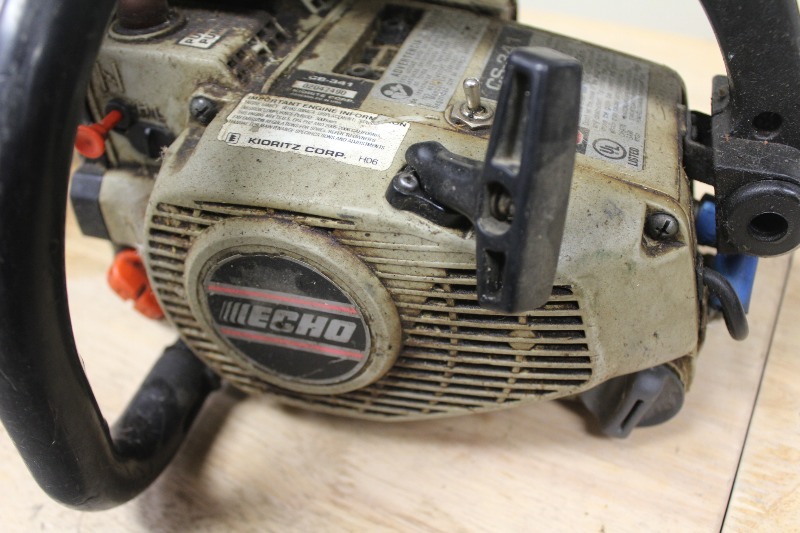 Echo Chainsaw