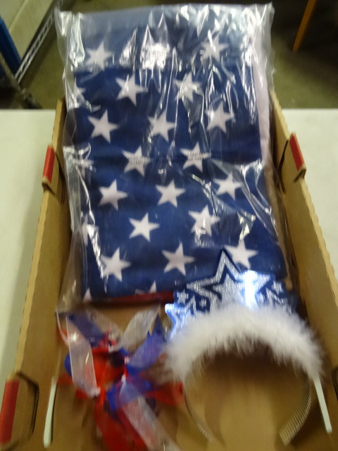 lot 198 image: 4th Of July Beach Towel and More