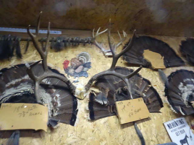 lot 219 image: Non Typical Mule Deer Rack