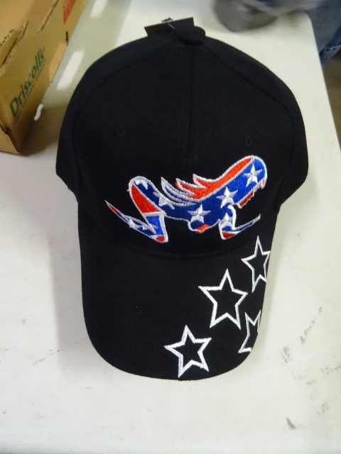 lot 234 image: 6 Baseball Hats and 2 Winter Hats