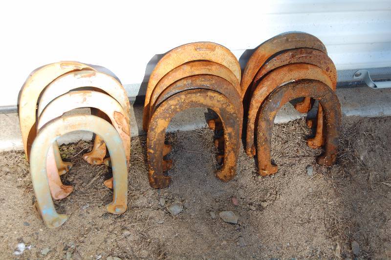 Horse Shoes