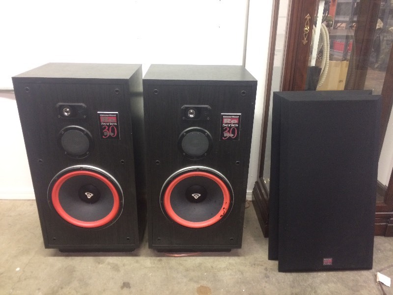 Nice Pair of Cerwin-Vega Re-30 Floor Speakers | Pickett Enterprises