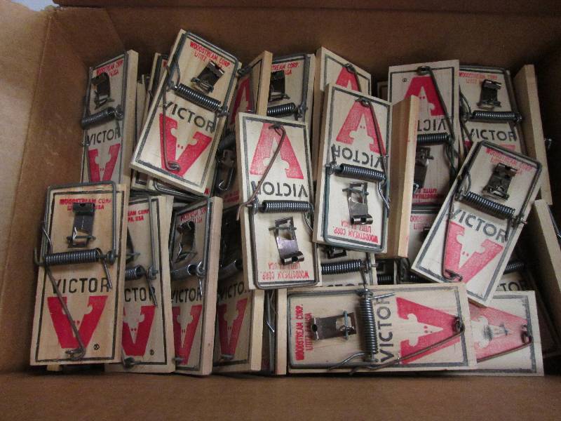 Box of Victor Mousetraps...