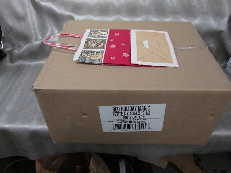 Case of 100 Medium Holiday Gift Bag...