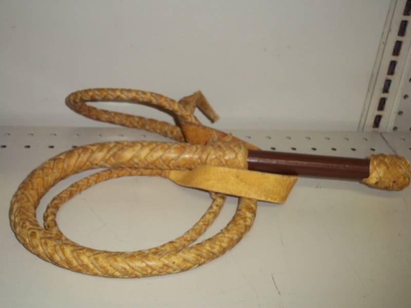 Leather Whip