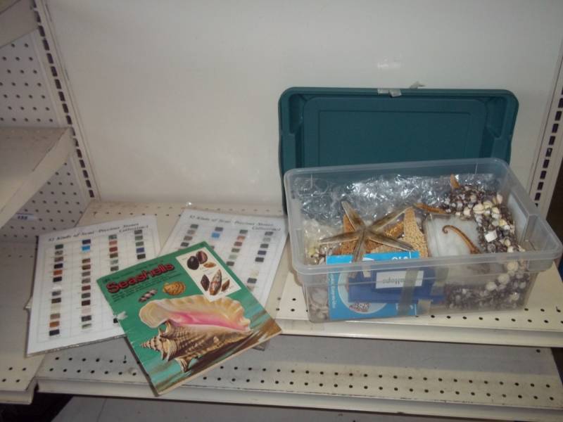 Sea Shells and Star Fish Collection
