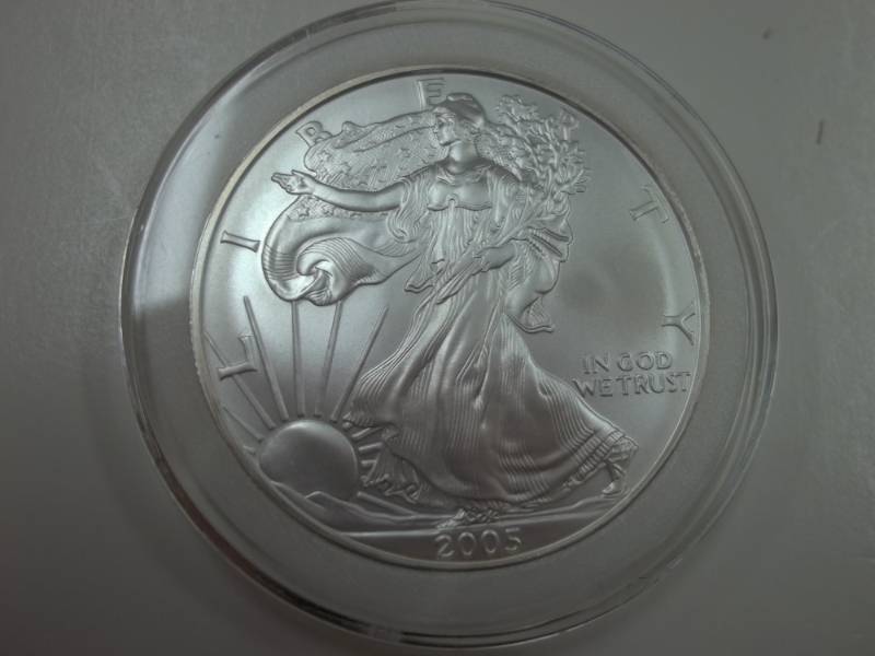 Silver American Eagle 1 Oz. Fine Silver Year 2005 Coin .999% in plastic case
