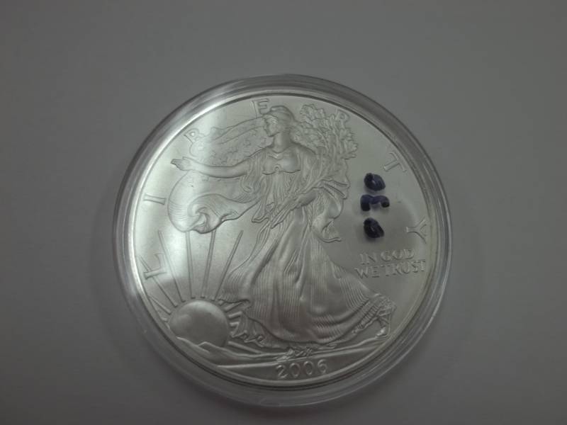 Silver American Eagle 1 Oz. Fine Silver Year 2006 Coin .999% in plastic case