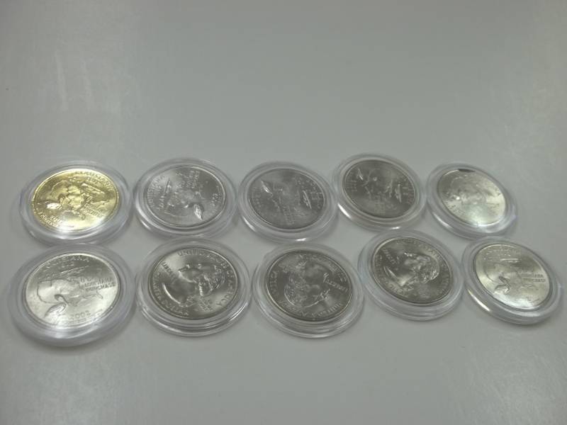 10 - 2002 Louisiana Quarters in case