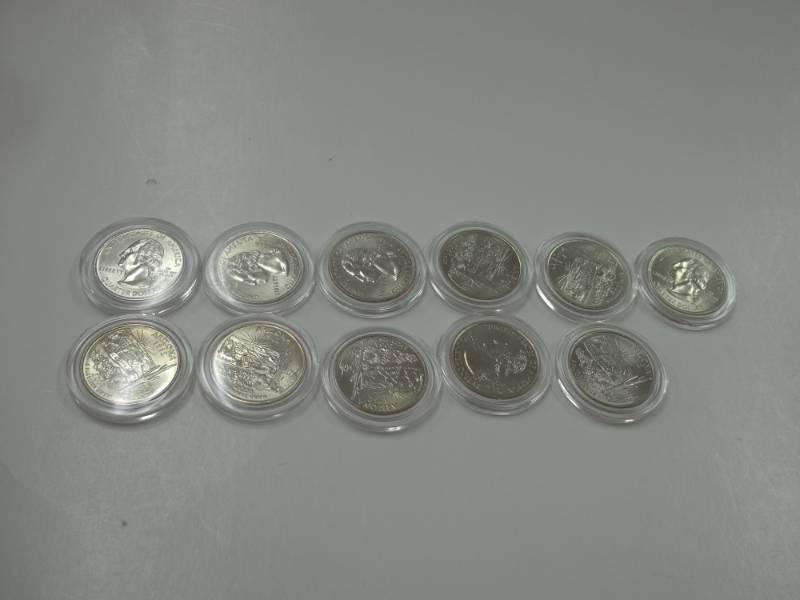 11 - 2008 Arizona P Quarters in case