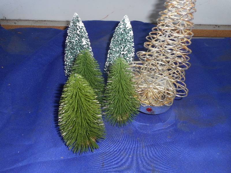 6 SMALL PINE TREES