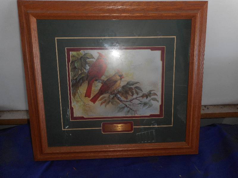 CARDINAL PICTURE