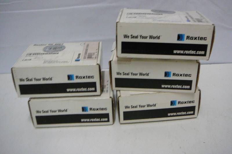 Roxtec R6 M63 Stainless RG M 6 34 A1s1316L 5 Count