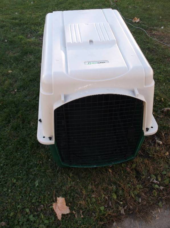 Dog Kennel