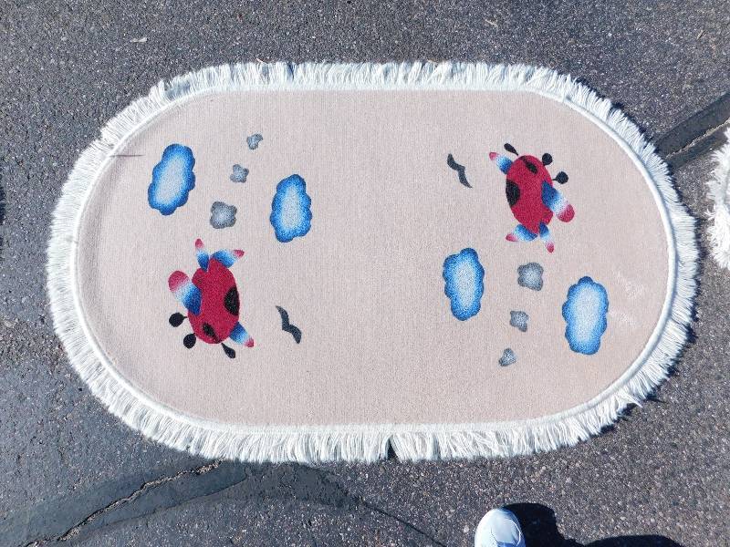 2.5x4 Hand Painted Fringed Oval Rug