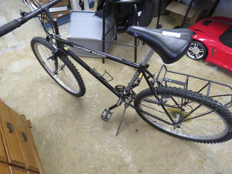 Schwinn Bike