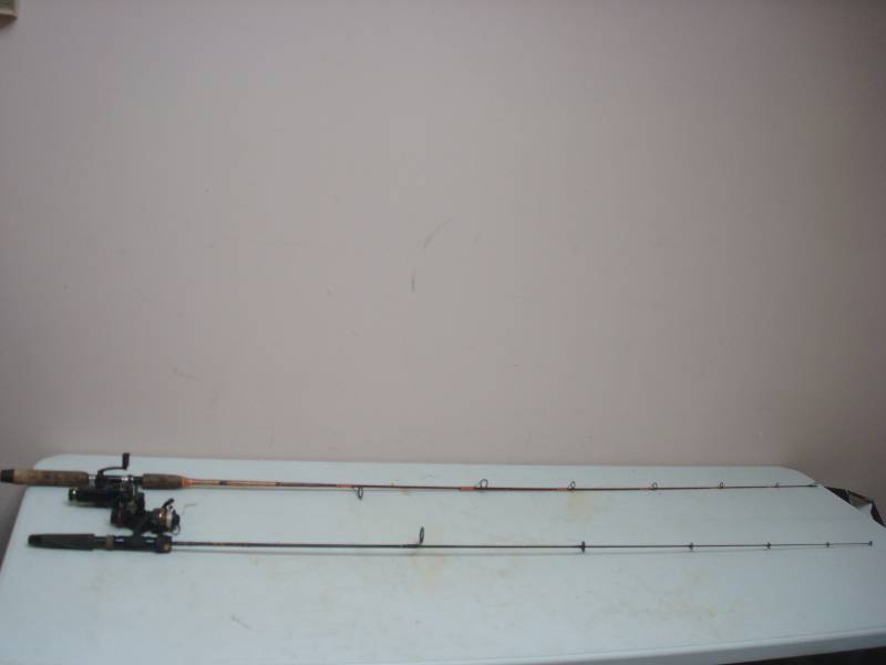 lot 69 image: Pair Of Fishing Poles And Reels