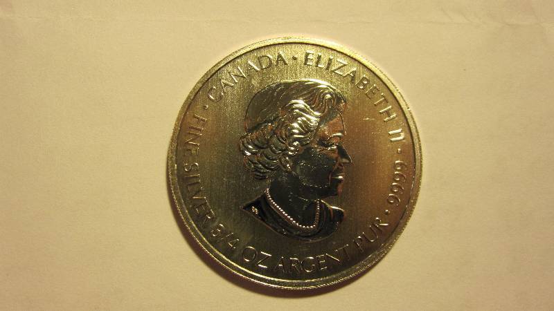 34 Ounce .999 Fine Silver - Canada 2013 2 Dollar Coin
