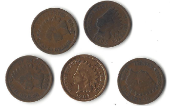 Five Different Indian Head Pennies 1900, 1901, 1902, 1903, & 1904
