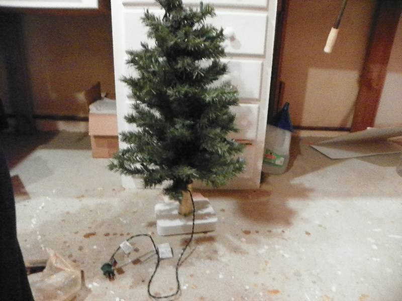 Lighted Christmas Tree