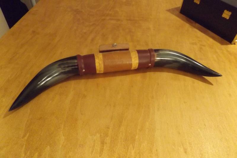 Horns with Leather