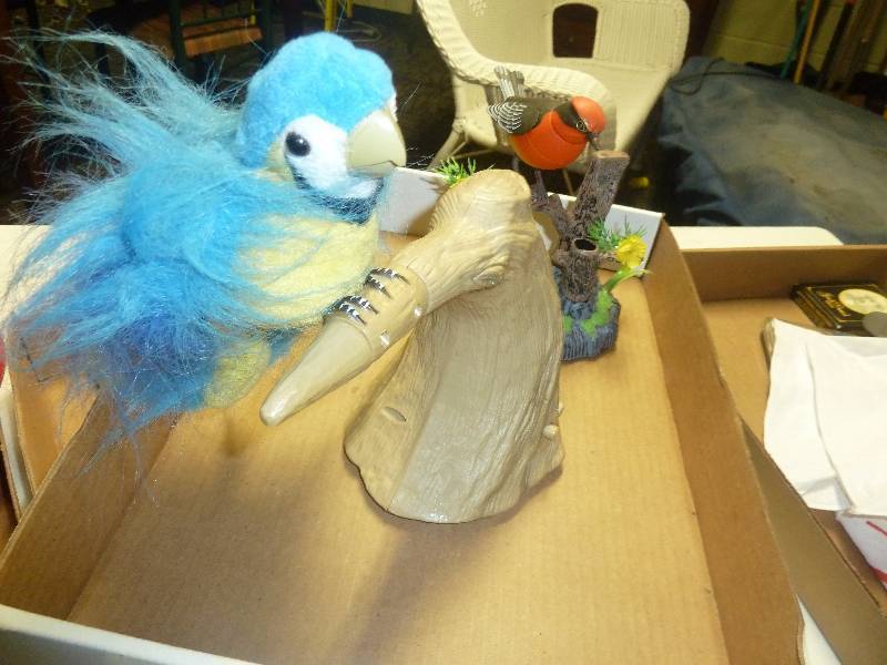 Talking Birds