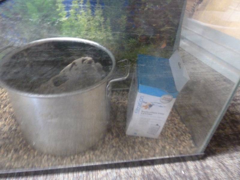 Aquarium