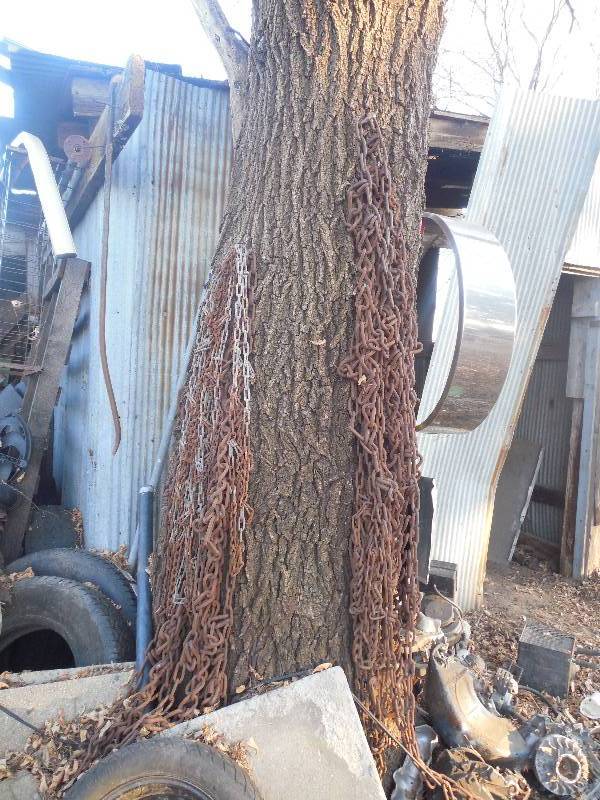 lot 169 image: HUGE LOT OF TIRE CHAINS