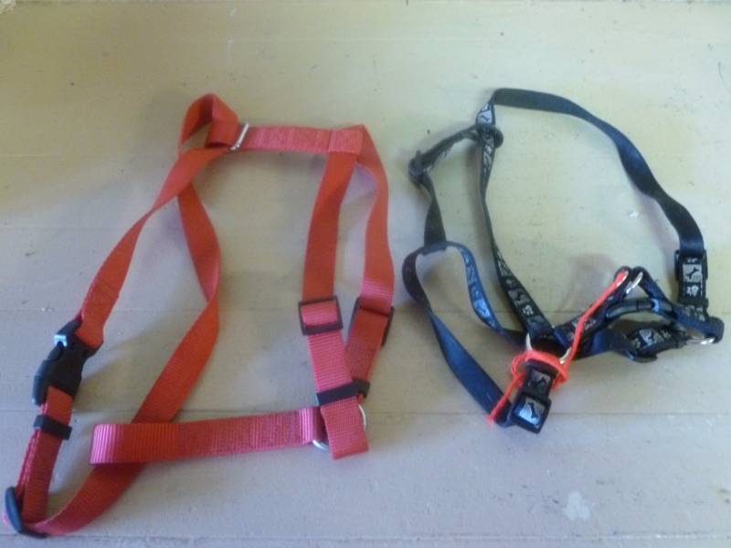 lot 214 image: Dog Harness