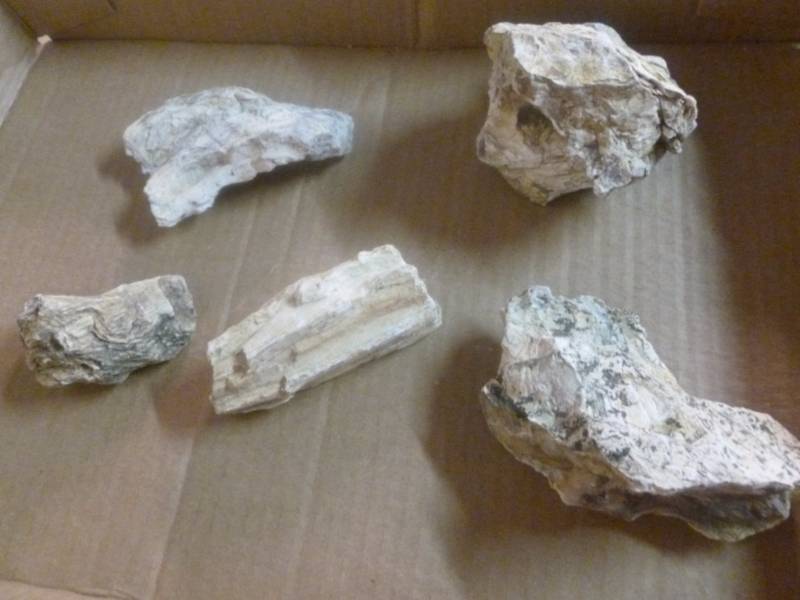 lot 278 image: Rocks