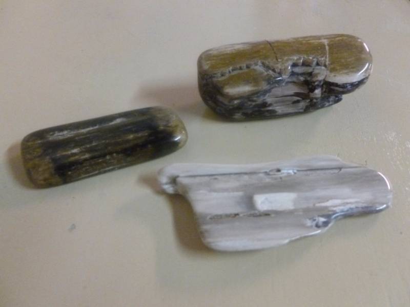 lot 279 image: Polished Petrified Wood