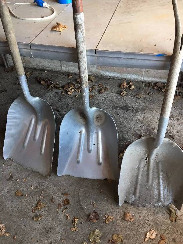 lot 2 image: THREE SCOOP SHOVELS