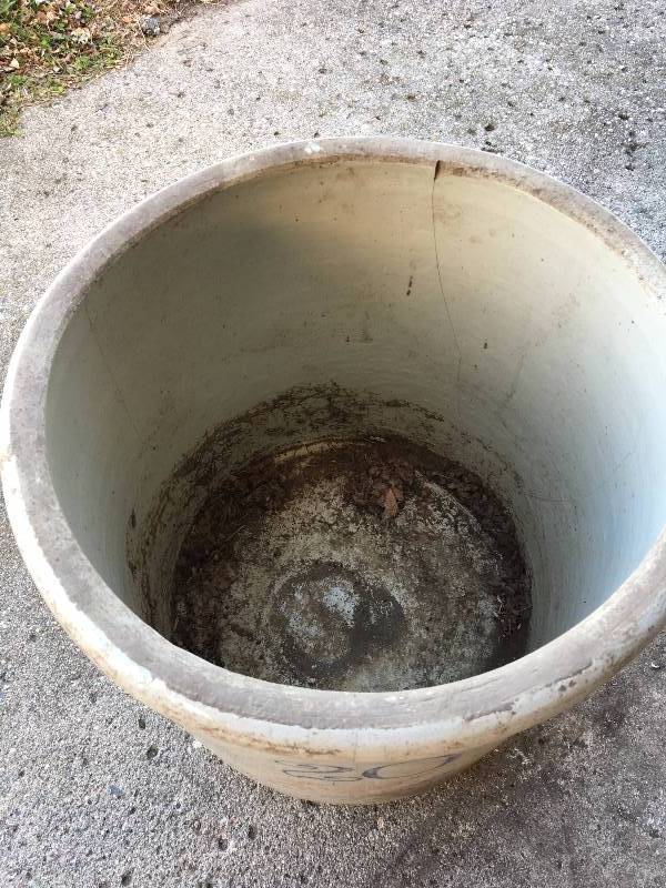 lot 16 image: 20 GALLON REDWING POT