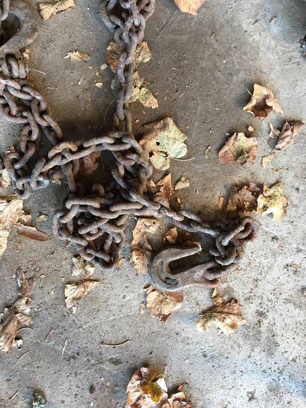 lot 42 image: VERY HEAVY DUTY LOG CHAIN 12 INCH