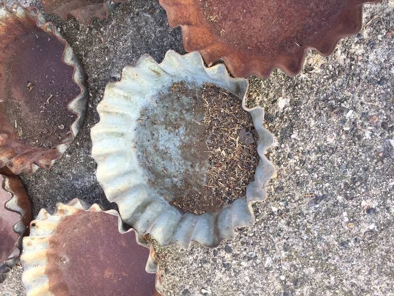 lot 93 image: HOG FEEDERS  BOTTLE CAPS QTY 8