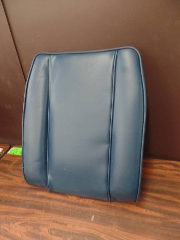 Cushioned Back Rest